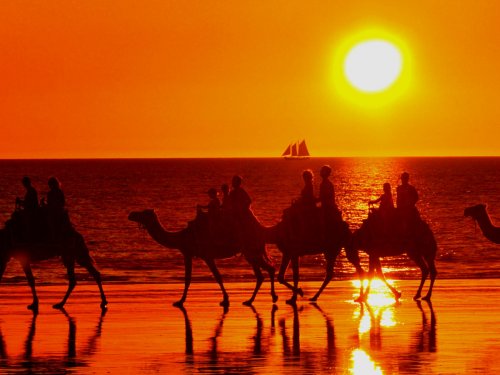 Премьер министр Туниса заявил о запуске туристического сезона в июле