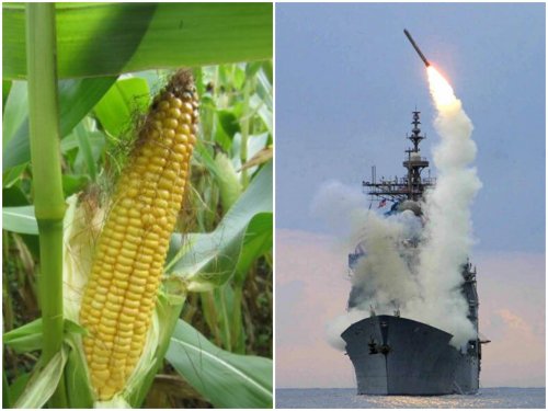 Американские «Томагавки» будут заправлять биоэтанолом из кукурузы
