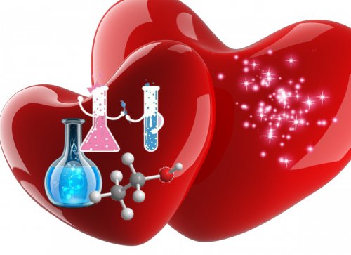 Химия или магия: Психолог раскрыл природу любви