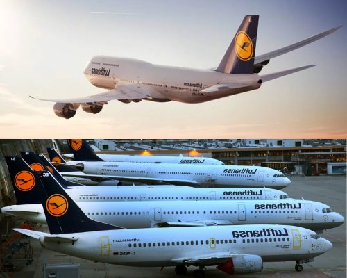 Авиаконцерн Lufthansa рассматривает возможность своего банкротства в 2021 году