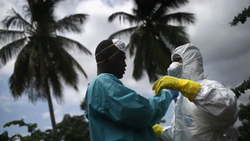 Эбола может прийти на смену коронавирусу — прогноз ученых