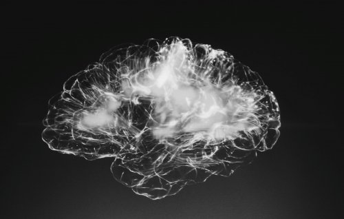 Учёные назвали странные особенности головного мозга