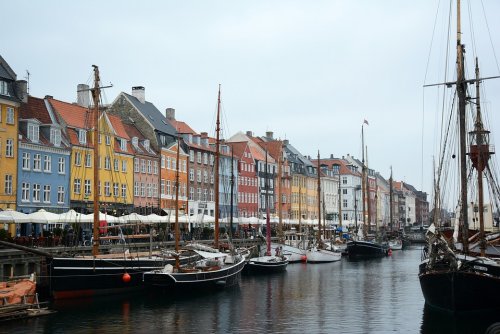 В Копенгагене уборщики извлекли из гавани 140 скутеров