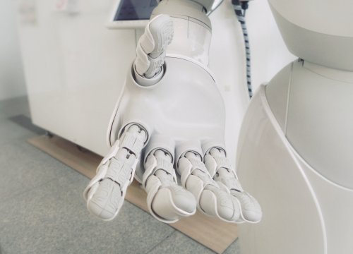 Австралийские учёные спроектировали съедобного робота в виде хобота