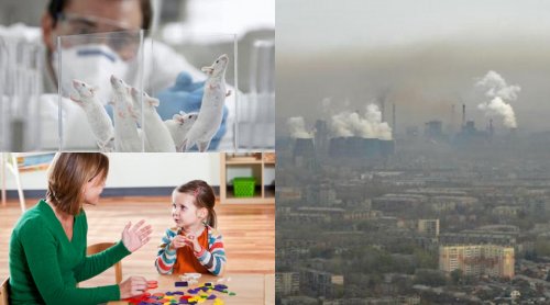 Учёные: Загрязнённый городской воздух аномально влияет на развитие мозга ребёнка