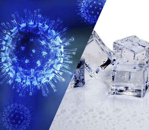 Инфекционист: Коронавирус способен выживать до 20 лет в холоде
