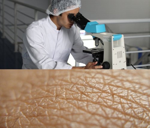 Учёные создали искусственную кожу для лечения ран и покрытия роботов