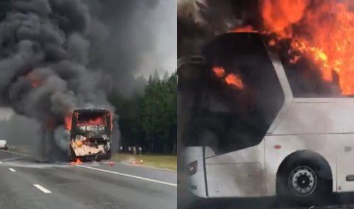 В Ленобласти на трассе сгорел туристический автобус