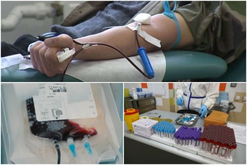 В Петербурге спасли 84 Covid-пациента при помощи переливания донорской плазмы