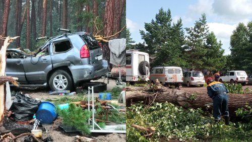 В Красноярском крае из-за падения дерева погибла туристка
