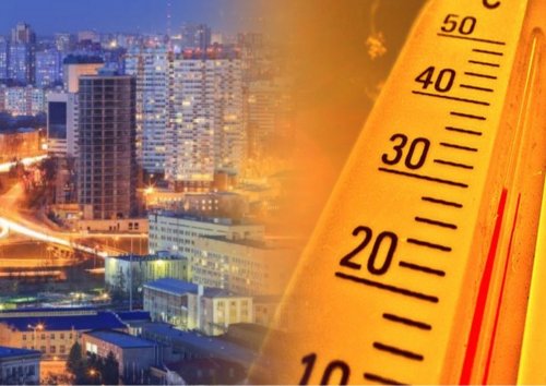 Температура в Ростове-на-Дону побила абсолютный рекорд