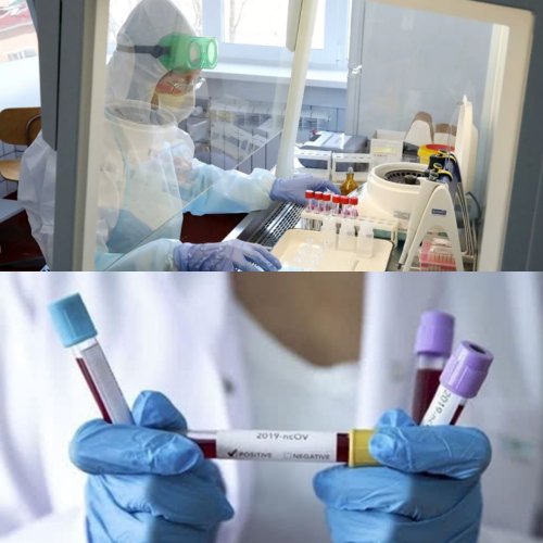 В России успешно испытали первую в мире вакцину от коронавируса