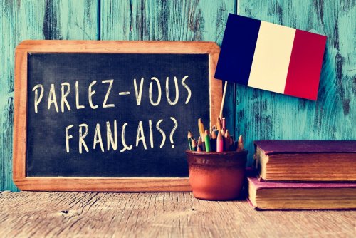 Какие книги выбрать для изучения французского языка